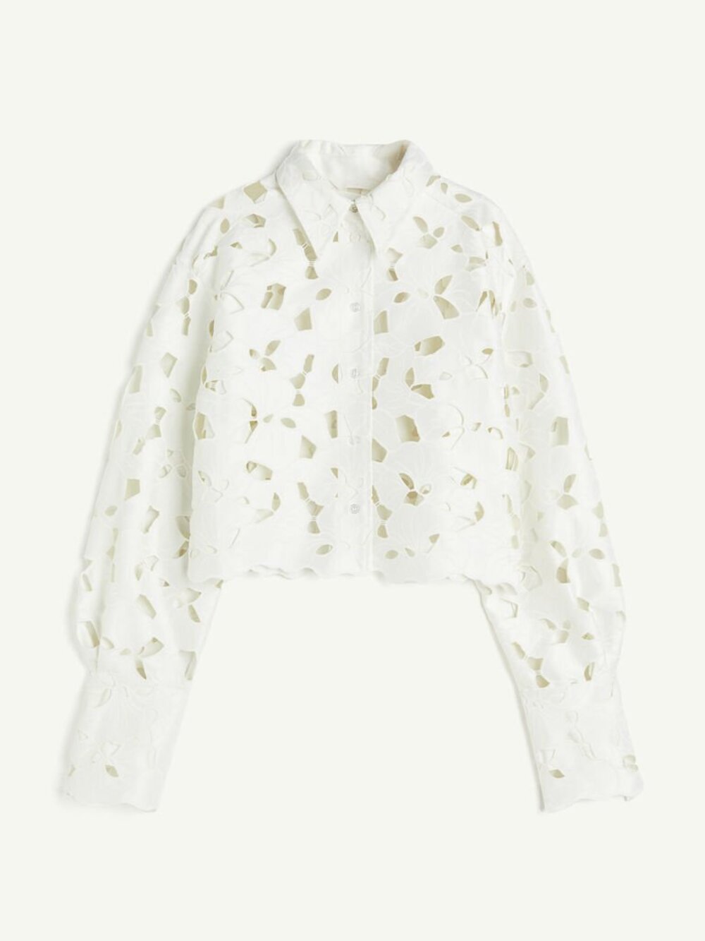 NWOT H&M Broderie Anglaise Satin Button-Up Shirt Blouse W/ Eyelet Size S